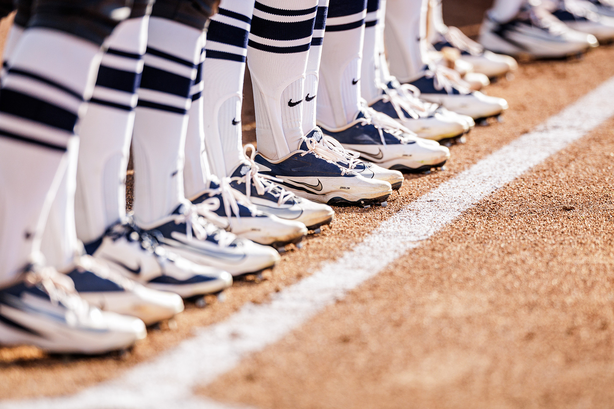 10 Cougars named Easton/NFCA All-America Scholar-Athletes