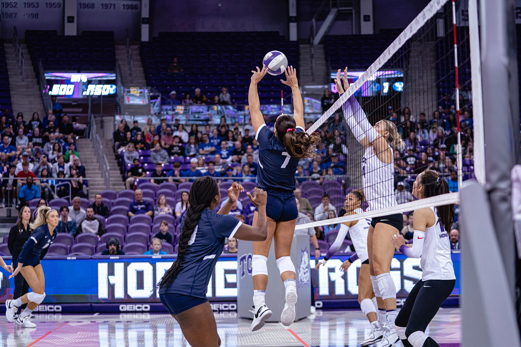 No. 16 Cougars Sweep Horned Frogs In Regular Season Finale - BYU ...